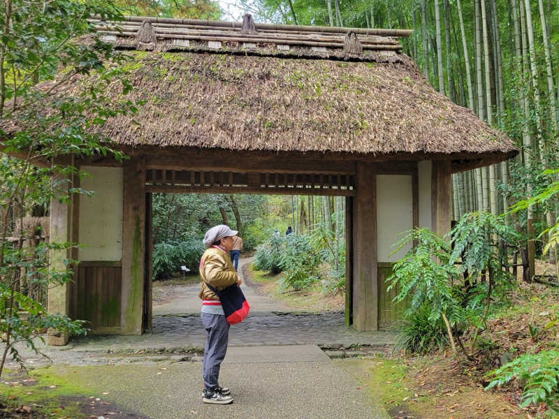 saabさんの木の花の湯(HOTEL CLAD)のサ活写真