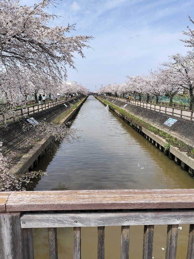 志賀泰造さんの楽だの湯 稲沢店のサ活写真