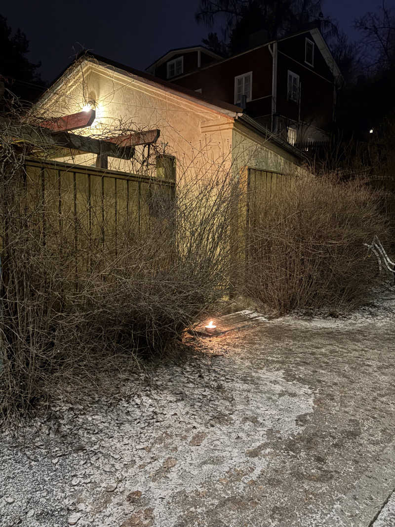 ねこさんのRajaportin Saunaのサ活写真