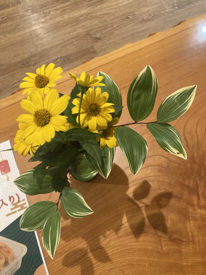 さう日記さんの群馬温泉 やすらぎの湯のサ活写真