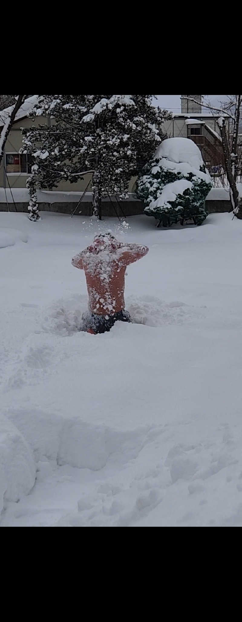 サンタマリア(ｹﾞﾙﾏ兄)さんのSAUNA Otaru archのサ活写真