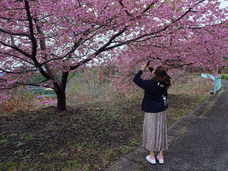 サウナーさんの国民宿舎 大城のサ活写真