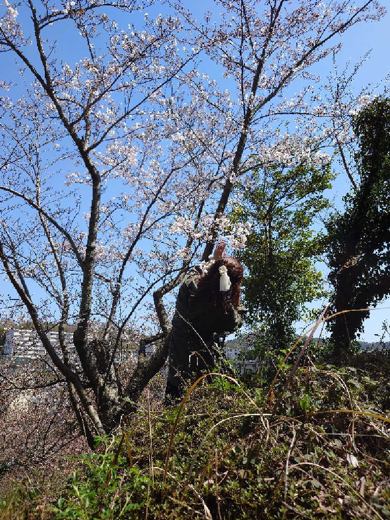 サウナーさんの国民宿舎 大城のサ活写真