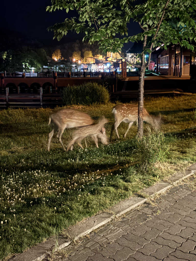 ナオエルさんのあかん遊久の里 鶴雅のサ活写真