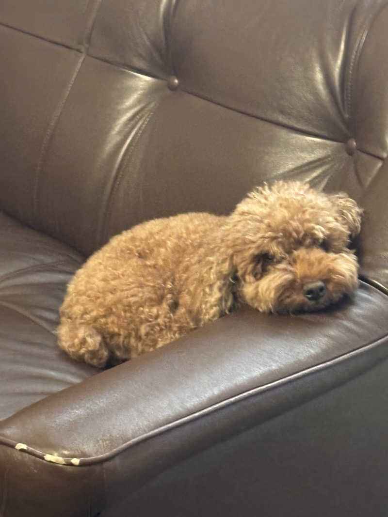 のあさんの励明園のサ活写真