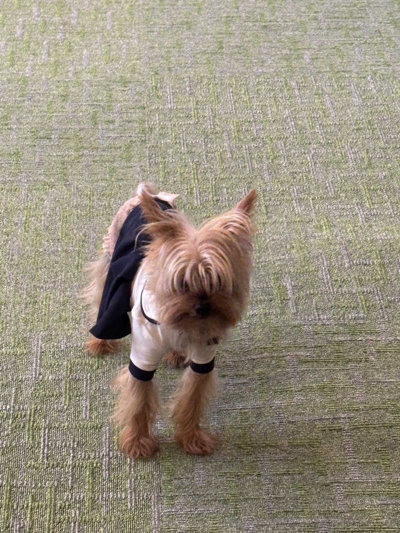 のあさんの励明園のサ活写真