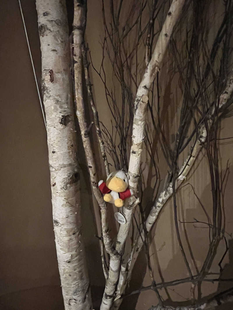 ハムスター大好き🍄さんのSaunaLab Kanda (サウナラボ神田)のサ活写真