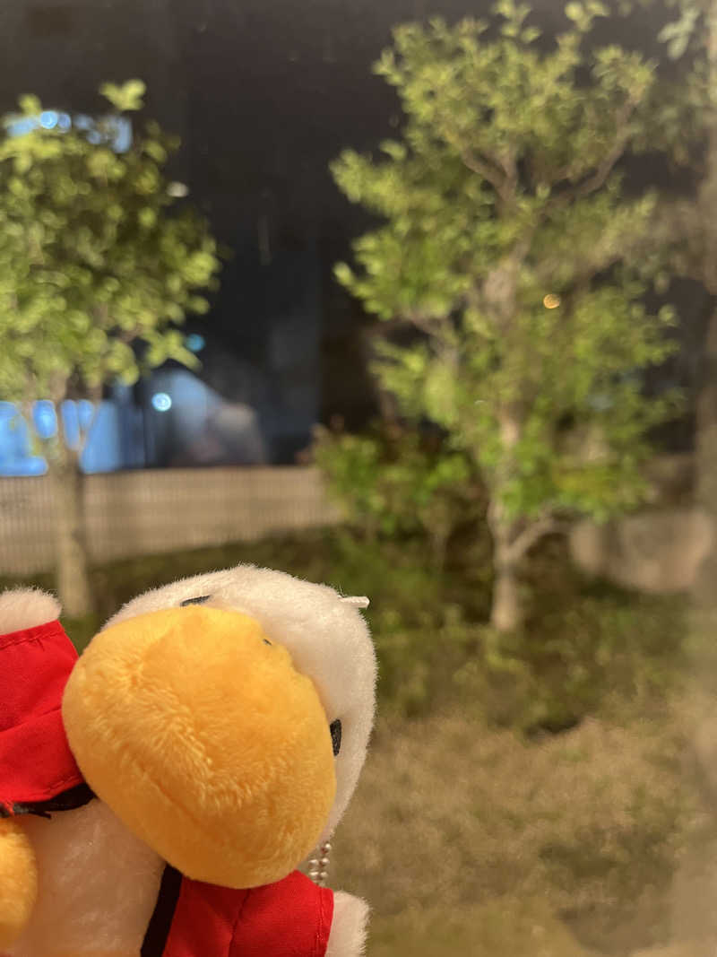 ハムスター大好き🍄さんのサウナ&カプセルホテル 北欧のサ活写真