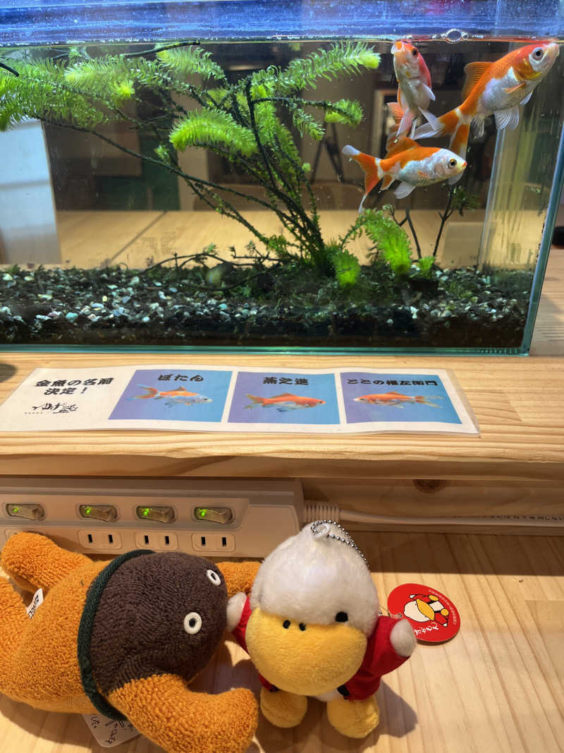 ハムスター大好き🍄さんのサウナゆげ蔵のサ活写真