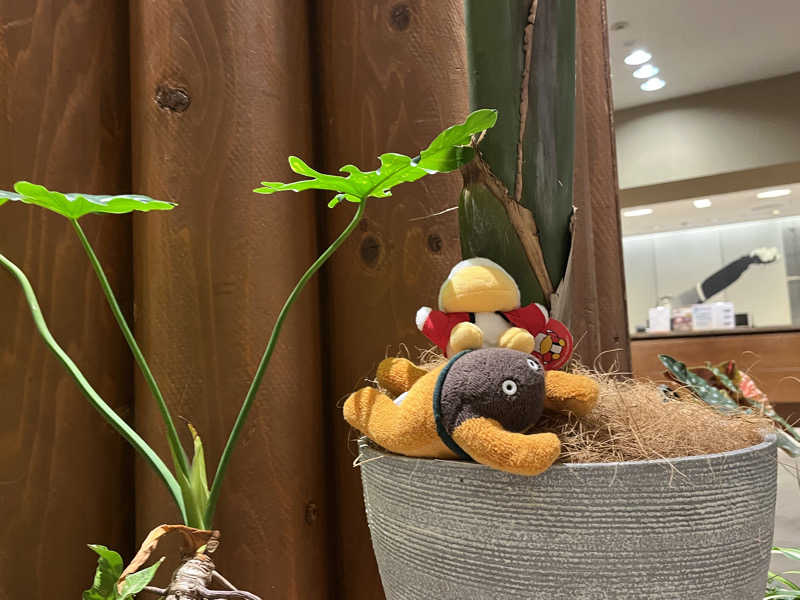 ハムスター大好き🍄さんの舞子高原ホテルのサ活写真