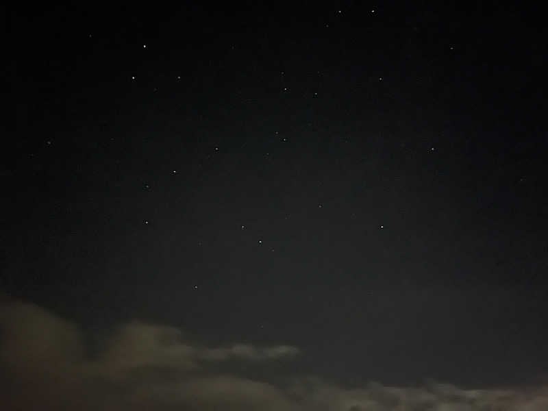 ハムスター大好き🍄さんの舞子高原ホテルのサ活写真
