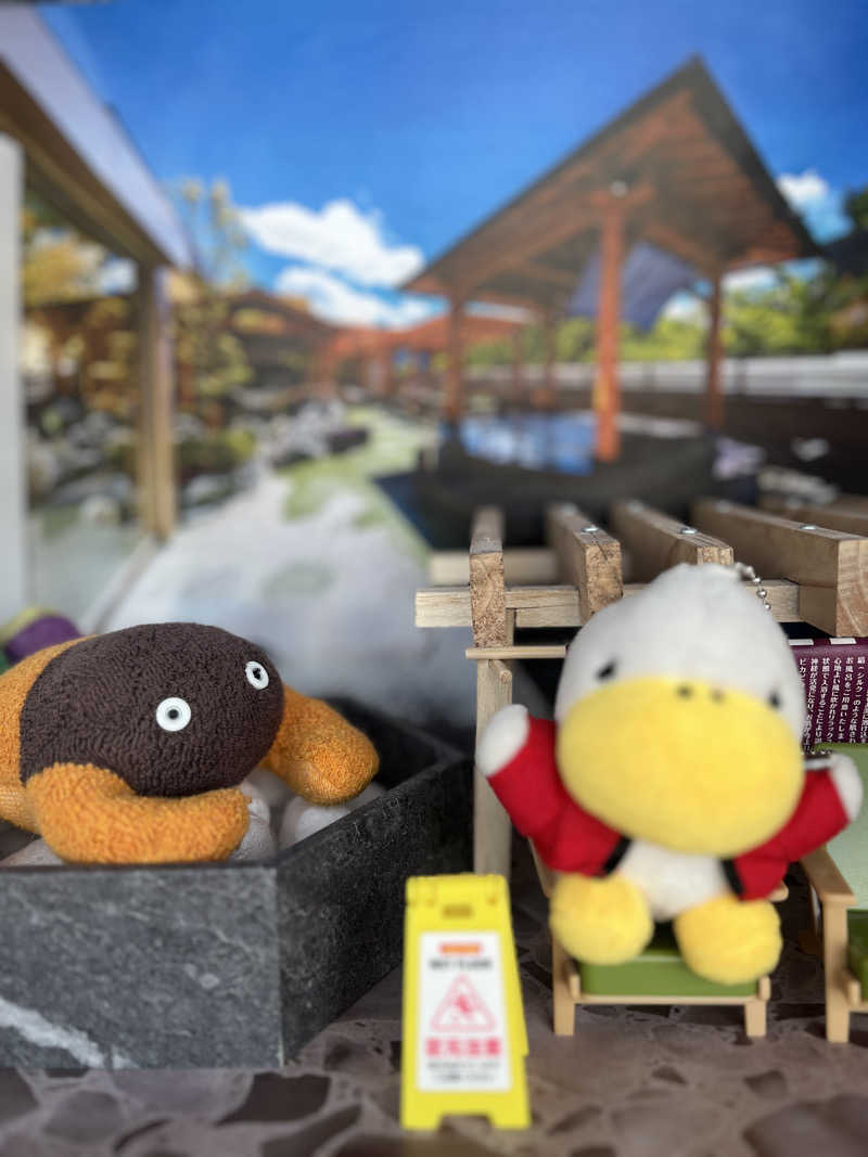 ハムスター大好き🍄さんのRAKU SPA GARDEN 名古屋のサ活写真
