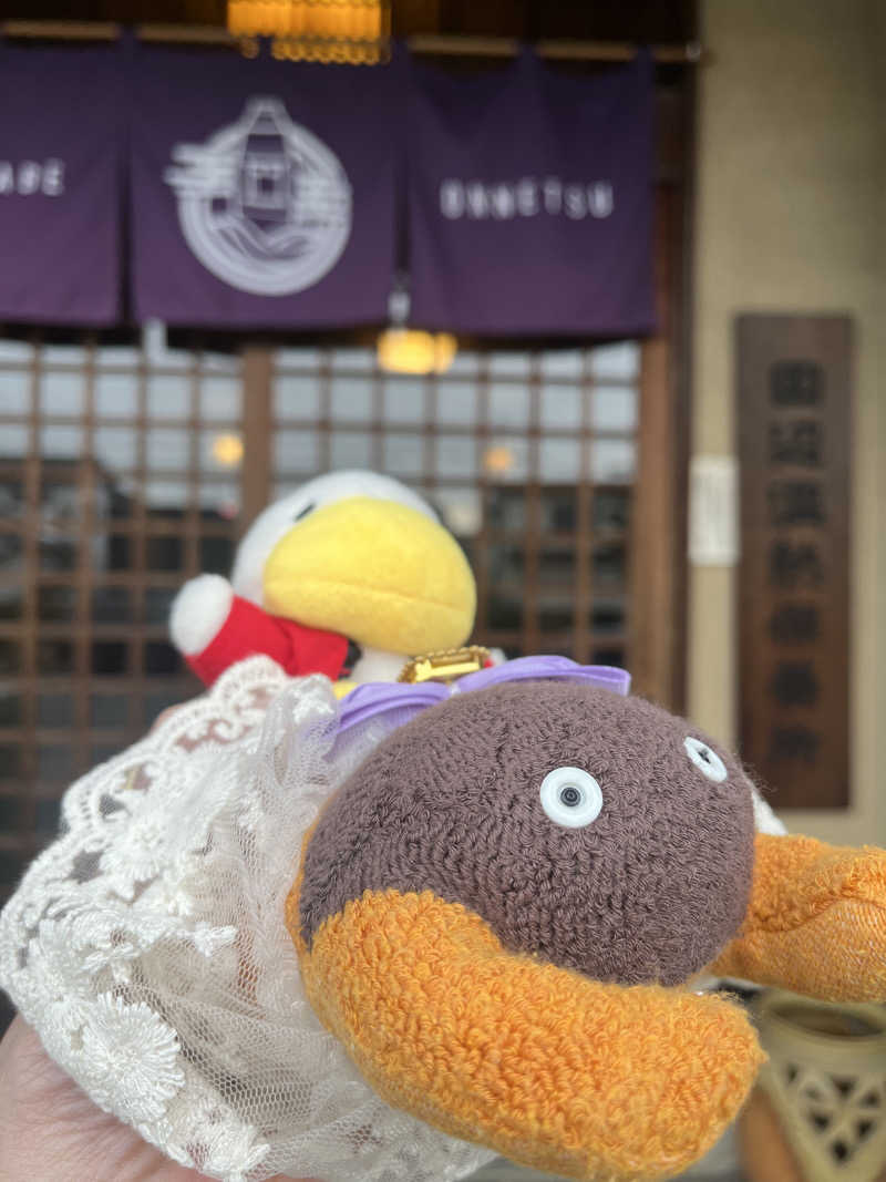 ハムスター大好き🍄さんの田辺温熱保養所のサ活写真