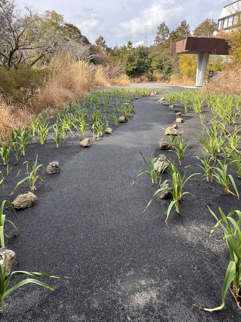 ハムスター大好き🍄さんの御船山楽園ホテル  らかんの湯のサ活写真