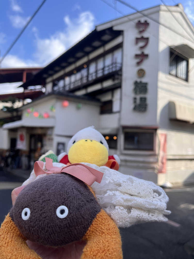 ハムスター大好き🍄さんのサウナの梅湯のサ活写真