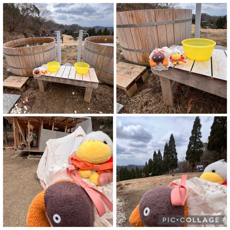 ハムスター大好き🍄さんの菊水さうなのサ活写真