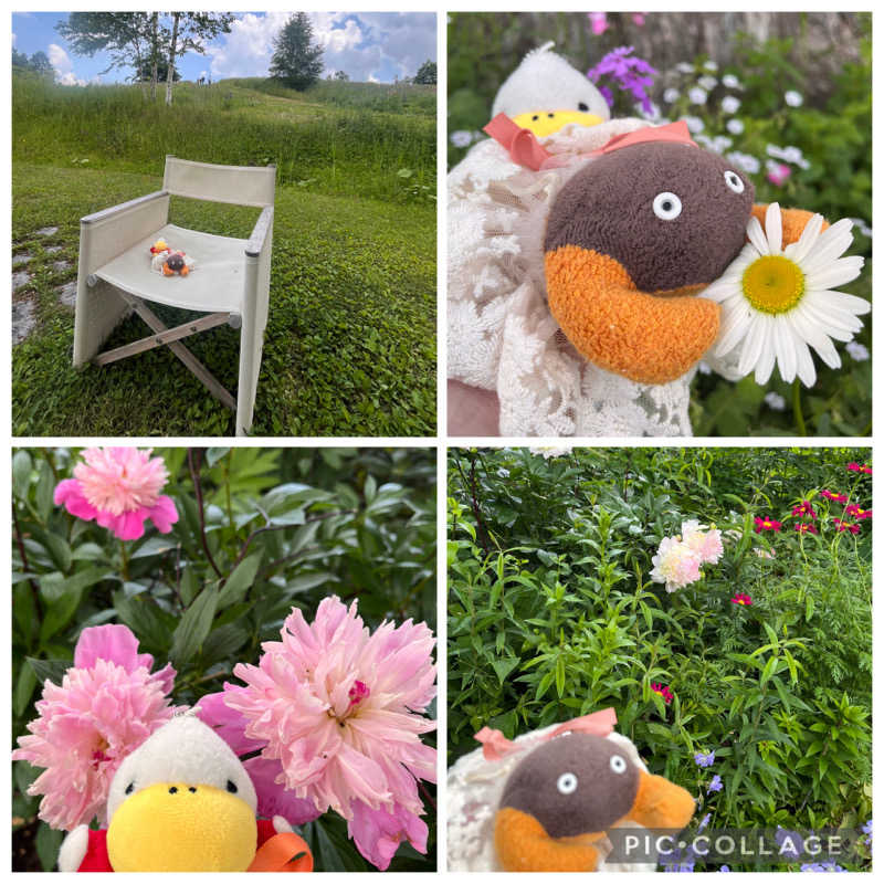 ハムスター大好き🍄さんの天然温泉みなぴりかの湯(ホテルWBFグランデ旭川)のサ活写真