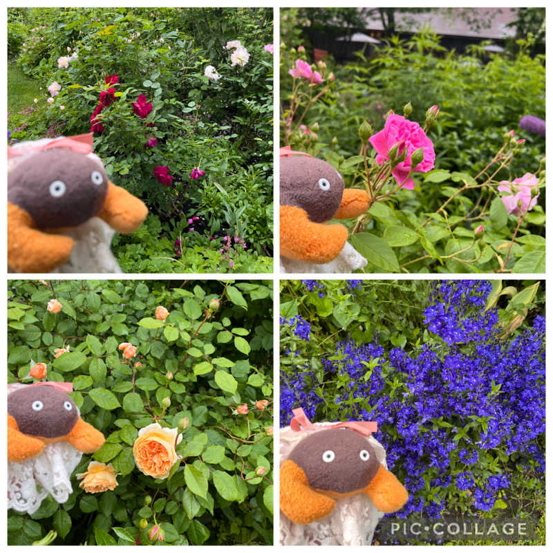 ハムスター大好き🍄さんの天然温泉みなぴりかの湯(ホテルWBFグランデ旭川)のサ活写真