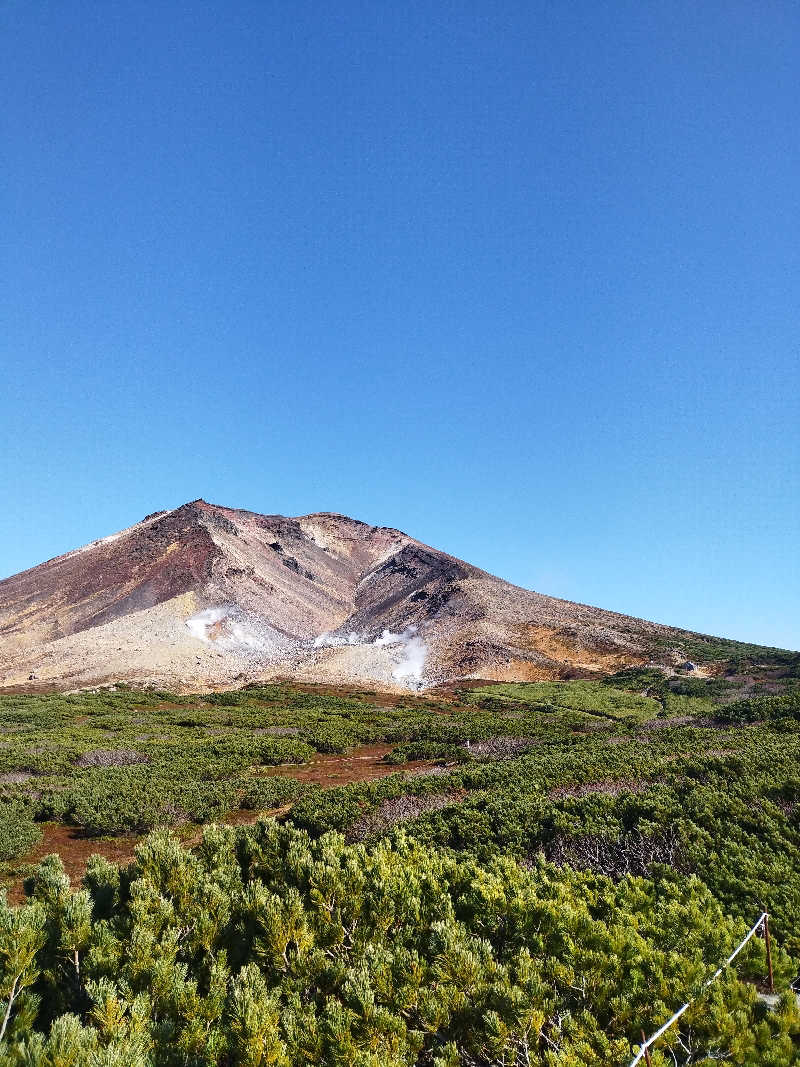 ゆーたさんの旭岳温泉ホテルベアモンテのサ活写真