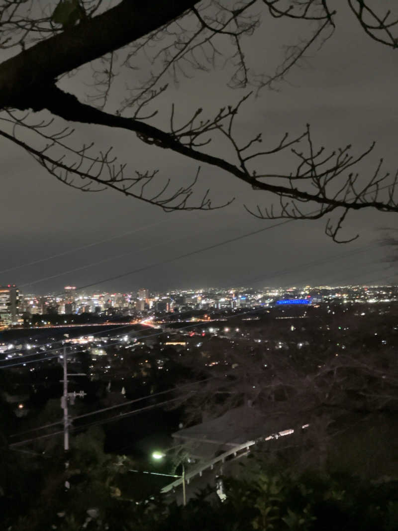 りさんの観音山サウナ蒸寺のサ活写真