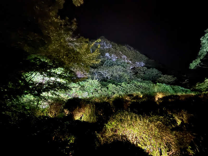 コアラッコさんの御船山楽園ホテル  らかんの湯のサ活写真