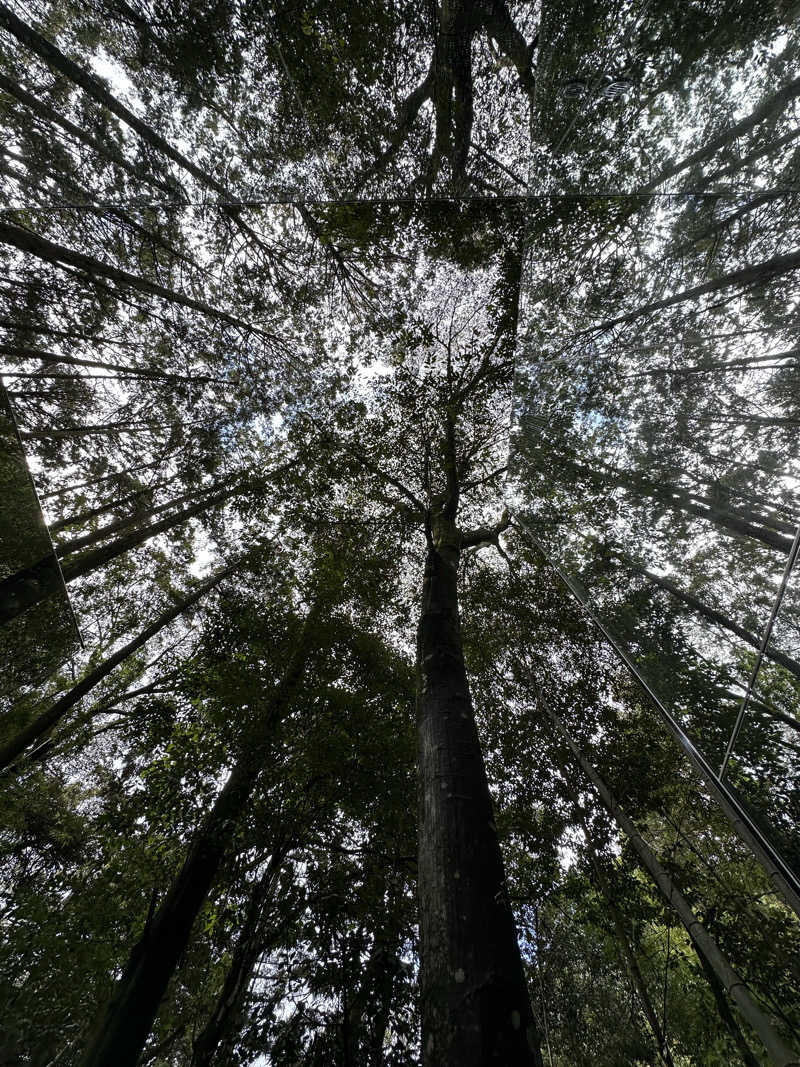 1歳ママサウナー❤︎さんのカガミノサウナ(奥武雄温泉 風の森)のサ活写真