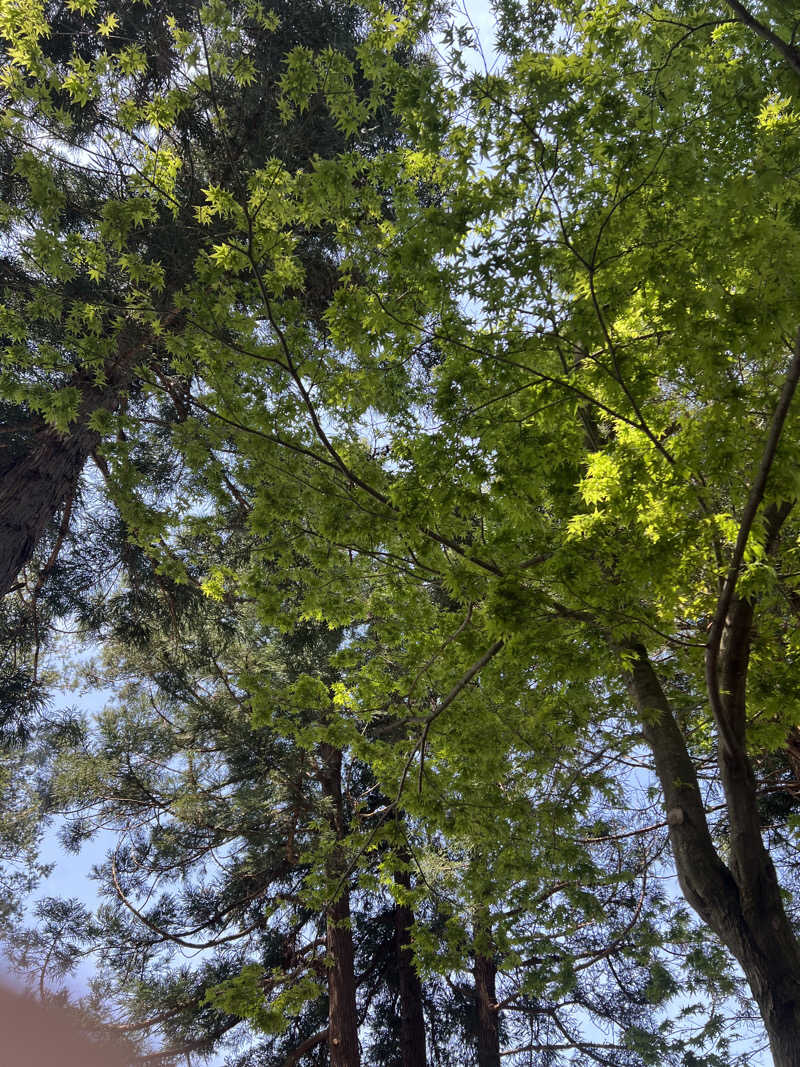 HATSKIさんのバレルサウナsuiのサ活写真