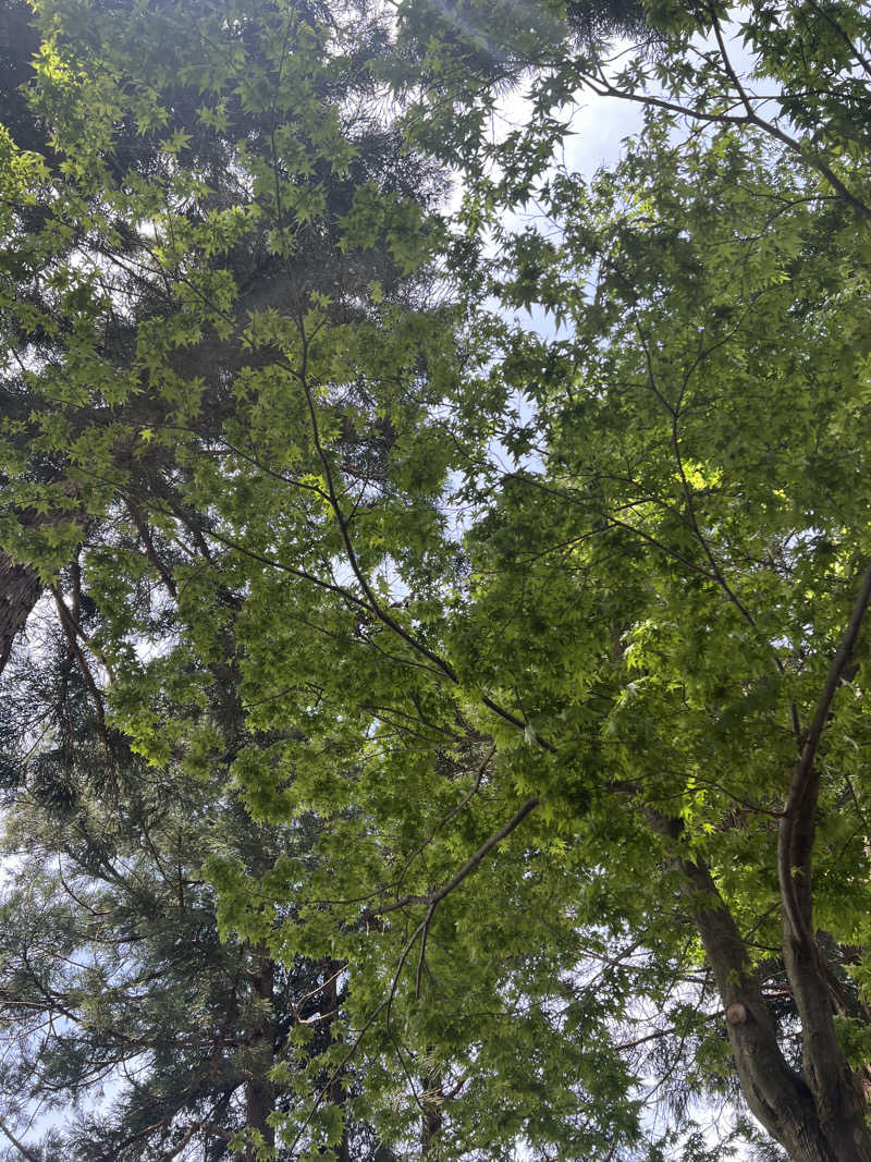 HATSKIさんのバレルサウナsuiのサ活写真