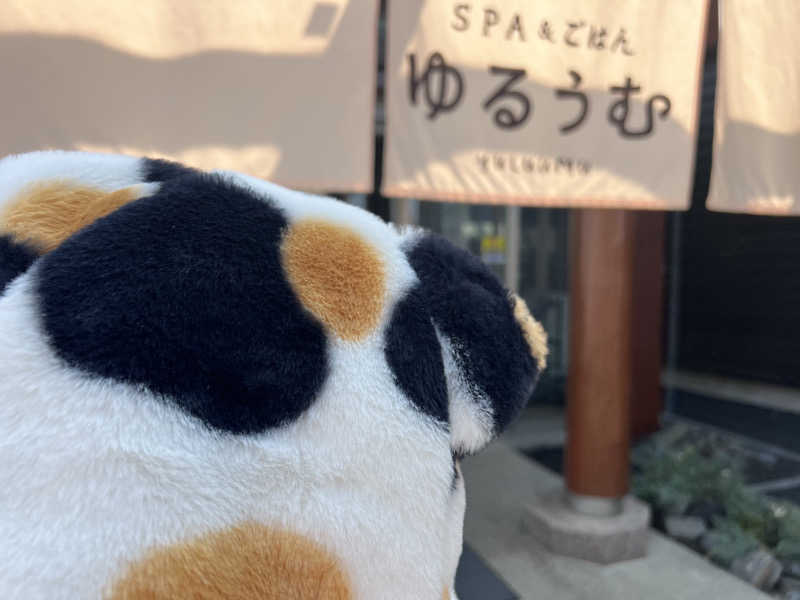 にゃんこ先生さんのSPA&ごはん ゆるうむ yuluumuのサ活写真