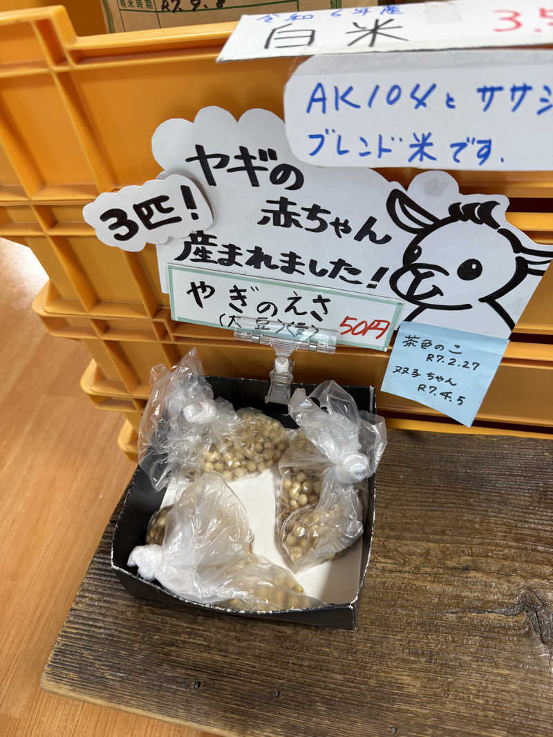 ドン・フナさんの熊ノ沢温泉のサ活写真