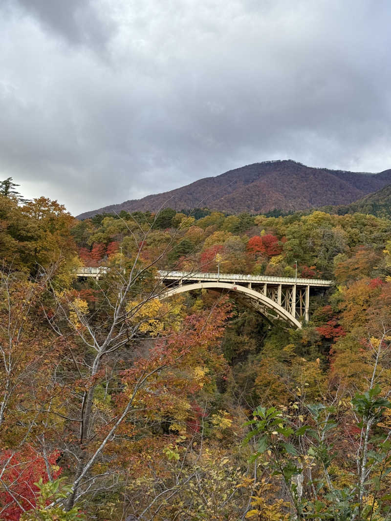ドン・フナさんの豆坂温泉 三峰荘のサ活写真