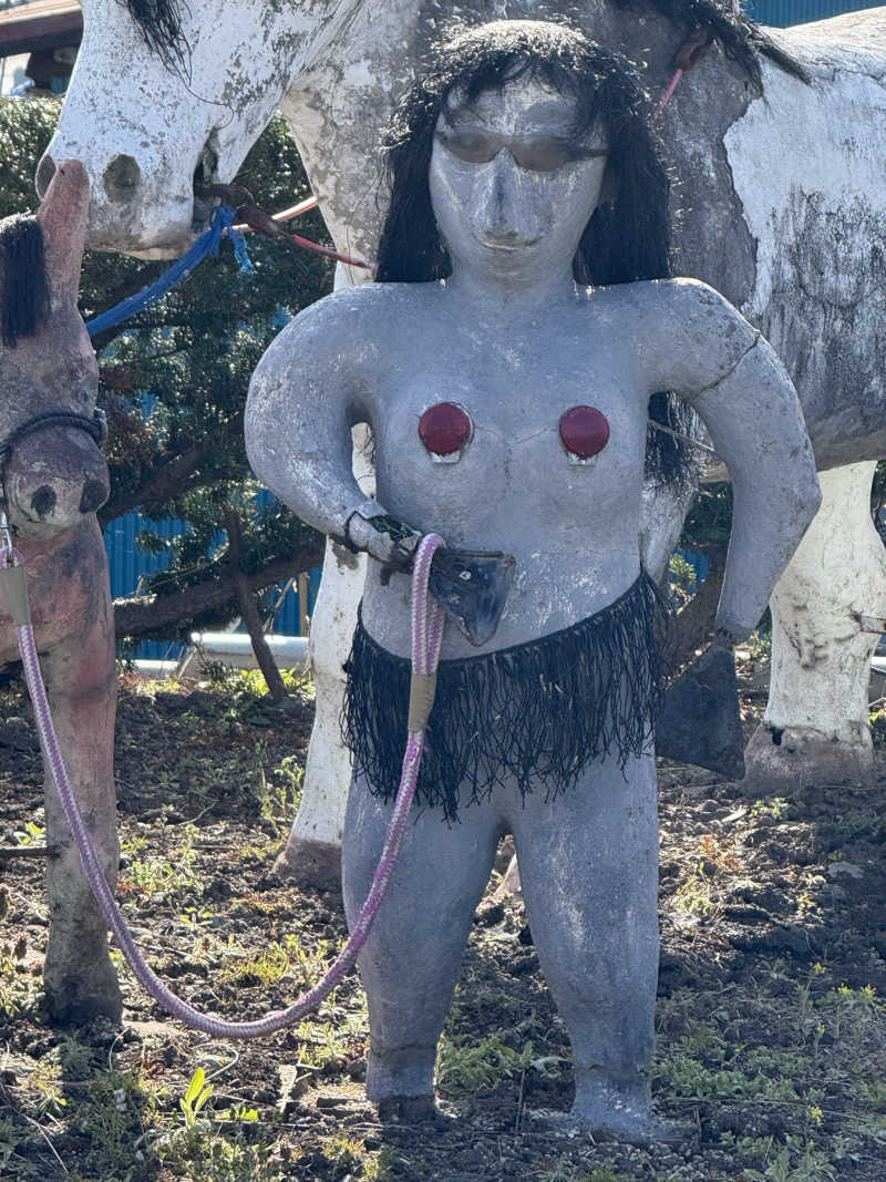 ドン・フナさんのたかむろ水光園のサ活写真