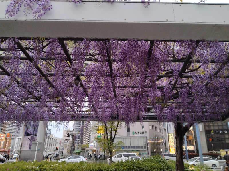 ひろさんのわがまちサウナ 大阪野田のサ活写真