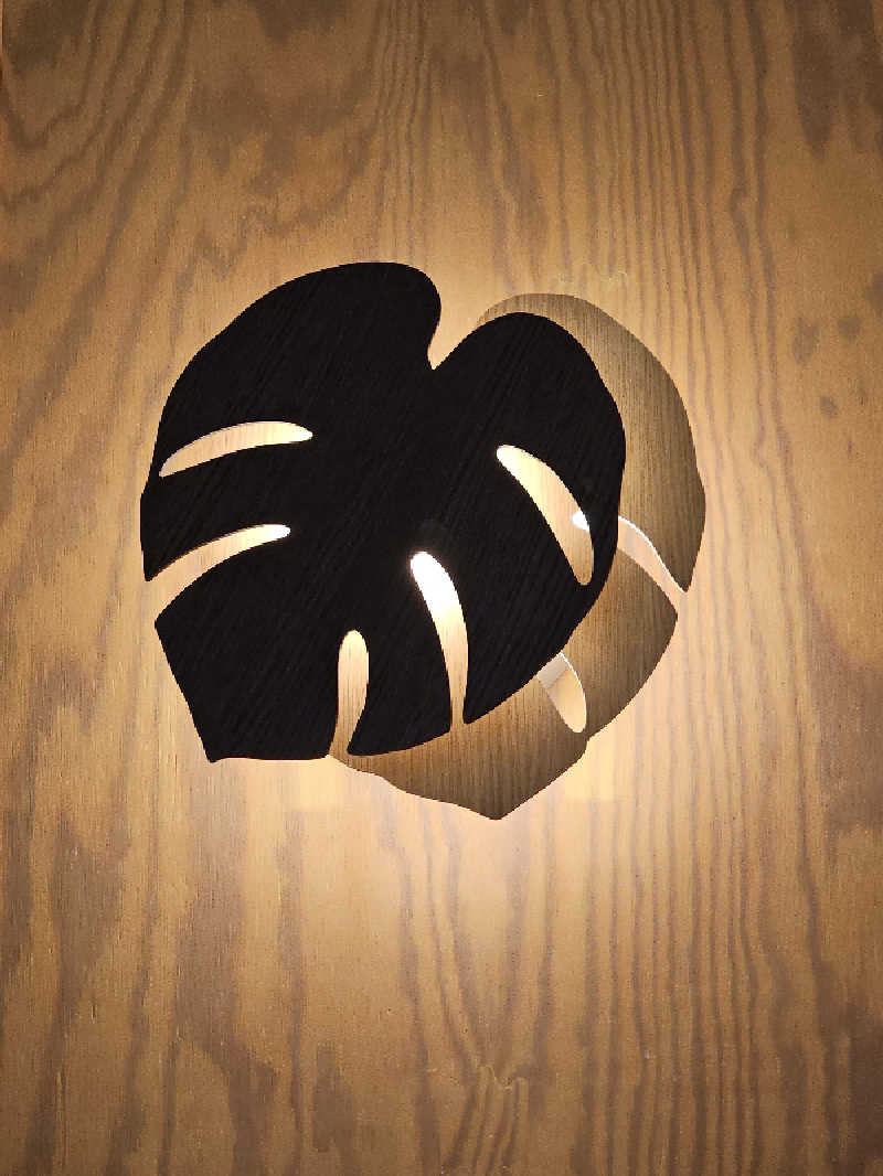 ハニコさんのアクアリゾート 岐阜ふじの湯のサ活写真