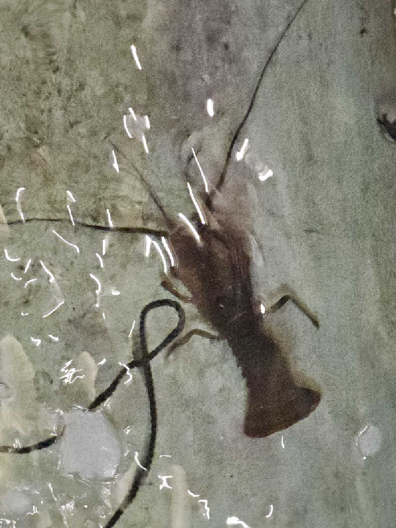 ハニコさんの伊勢パールピアホテルのサ活写真