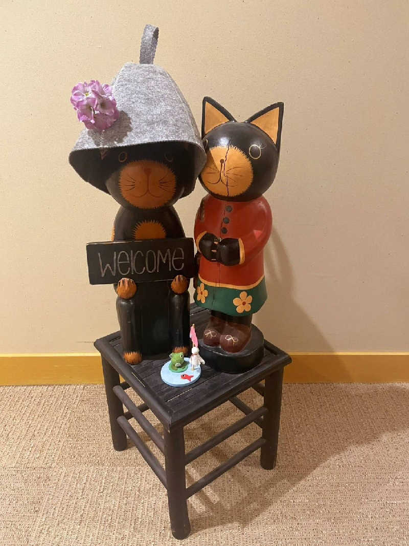 ハニコさんの天光の湯のサ活写真