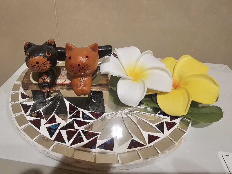 ハニコさんの天光の湯のサ活写真