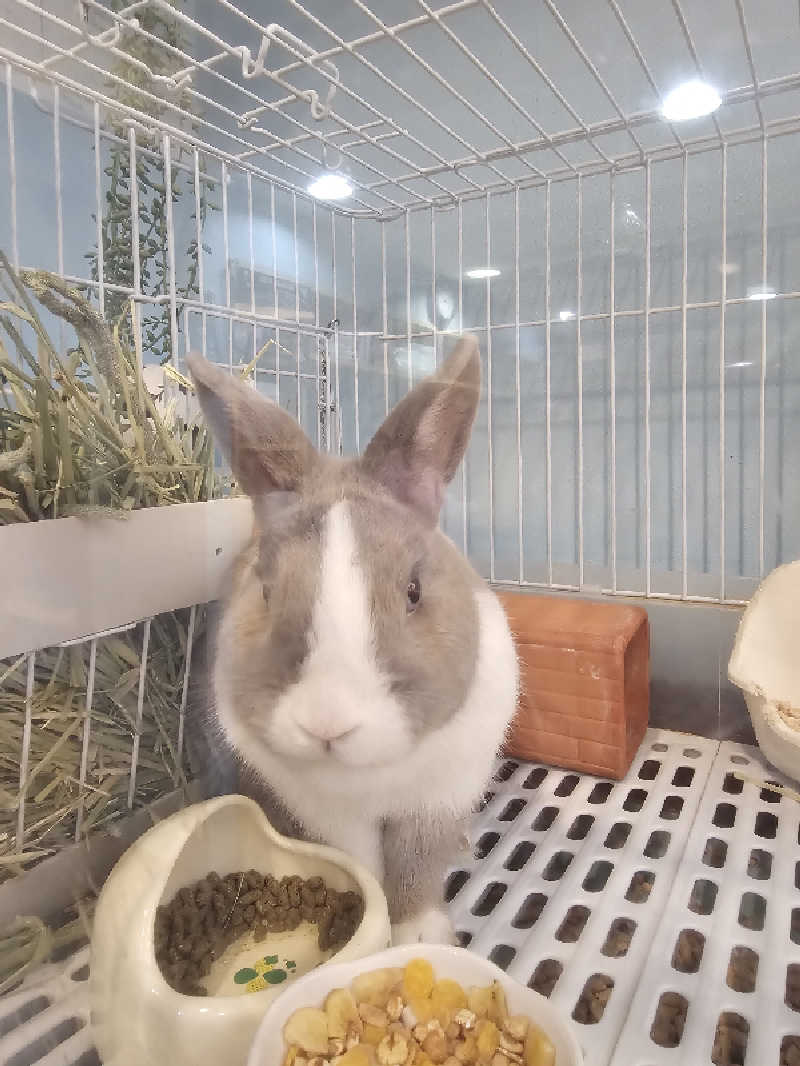 ハニコさんのアクアリゾート 岐阜ふじの湯のサ活写真