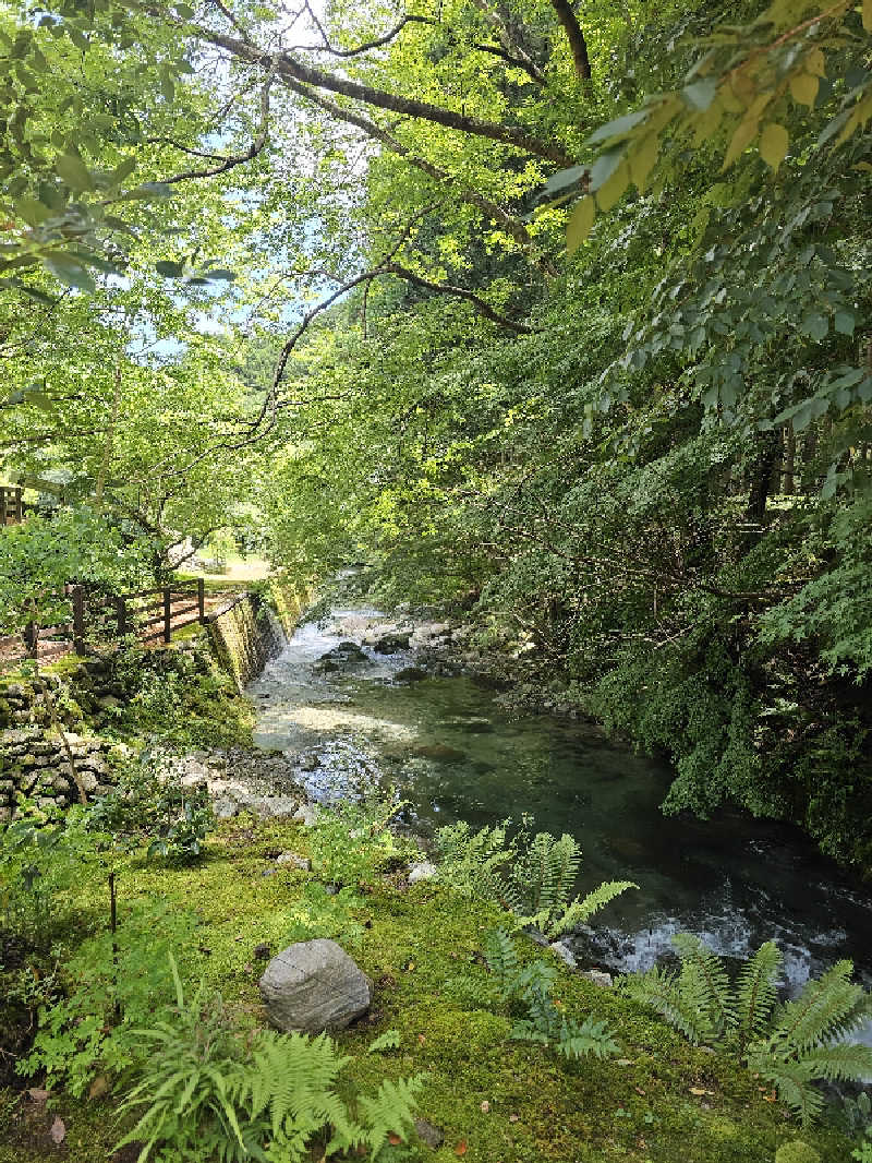 ハニコさんの癒しの里名張の湯のサ活写真