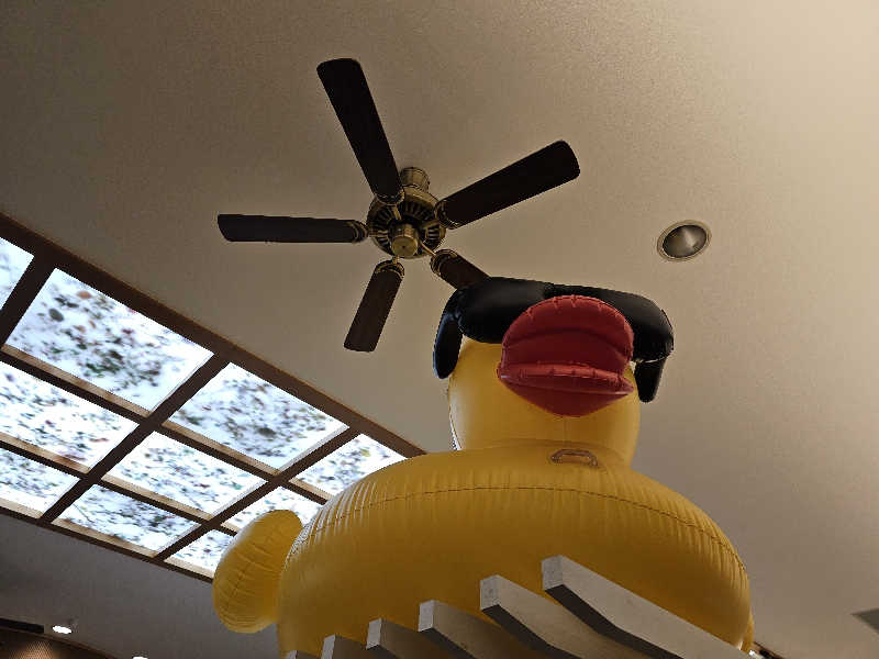 ハニコさんのアクアリゾート 岐阜ふじの湯のサ活写真