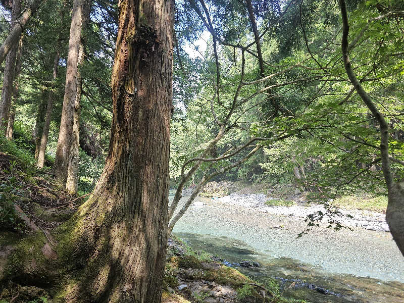 ハニコさんのKanzaki Sanga Saunaのサ活写真