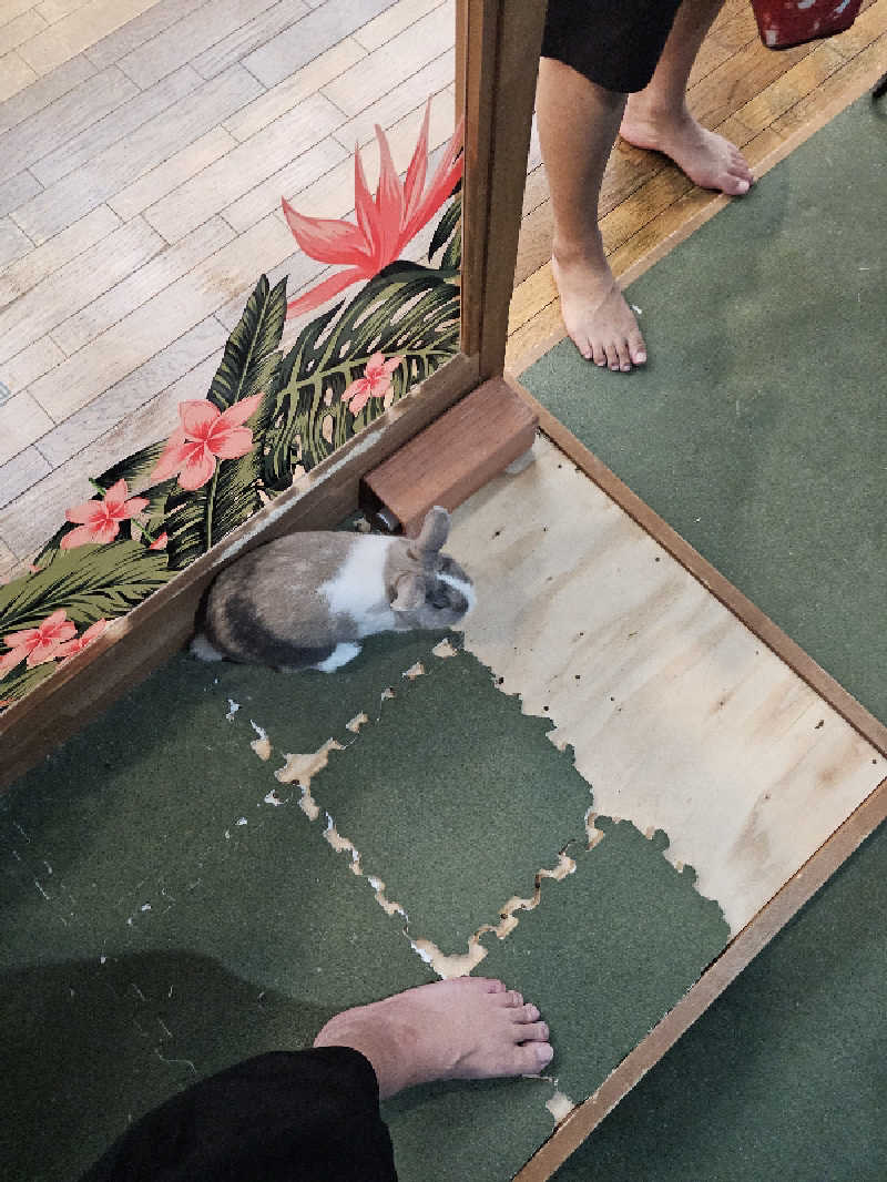ハニコさんのアクアリゾート 岐阜ふじの湯のサ活写真