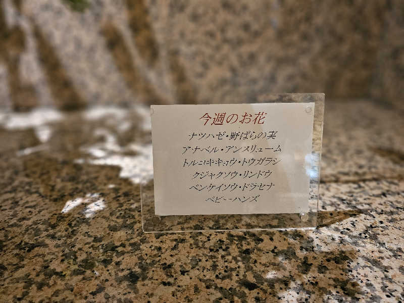 ハニコさんの伊勢パールピアホテルのサ活写真