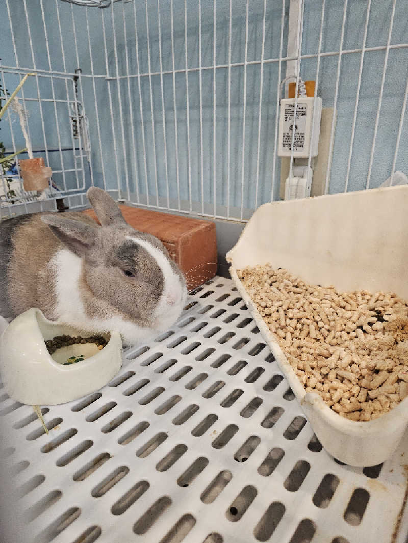 ハニコさんのアクアリゾート 岐阜ふじの湯のサ活写真