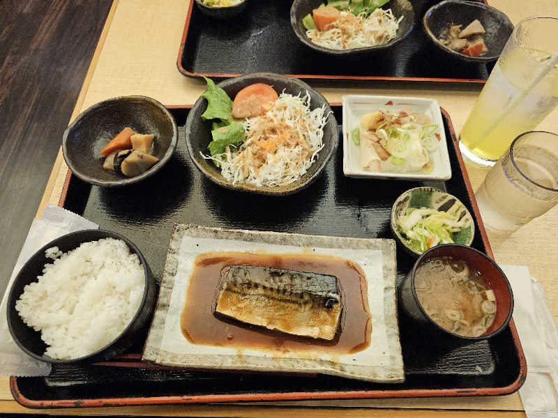ハニコさんの天然温泉コロナの湯 安城店のサ活写真