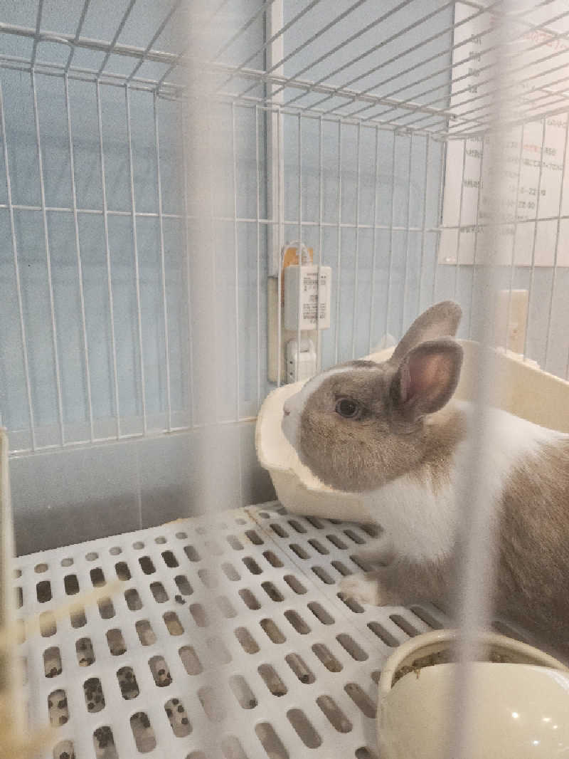 ハニコさんのアクアリゾート 岐阜ふじの湯のサ活写真