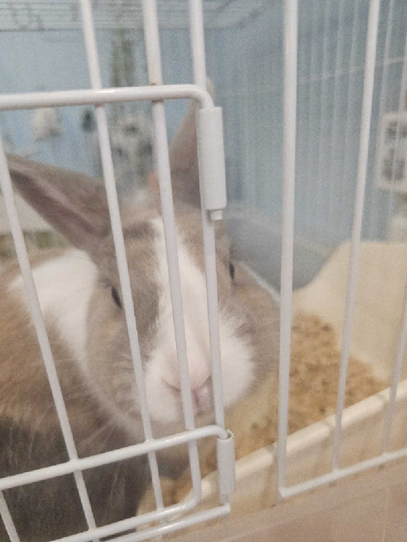 ハニコさんのアクアリゾート 岐阜ふじの湯のサ活写真