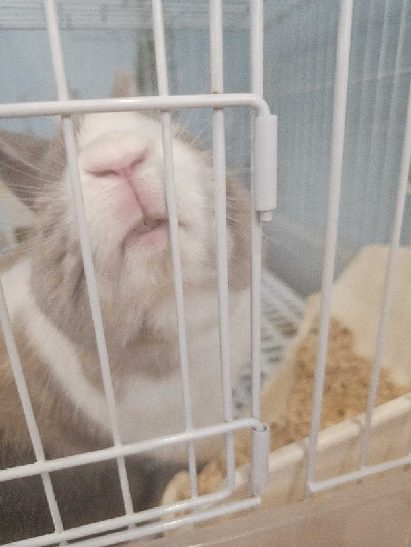 ハニコさんのアクアリゾート 岐阜ふじの湯のサ活写真