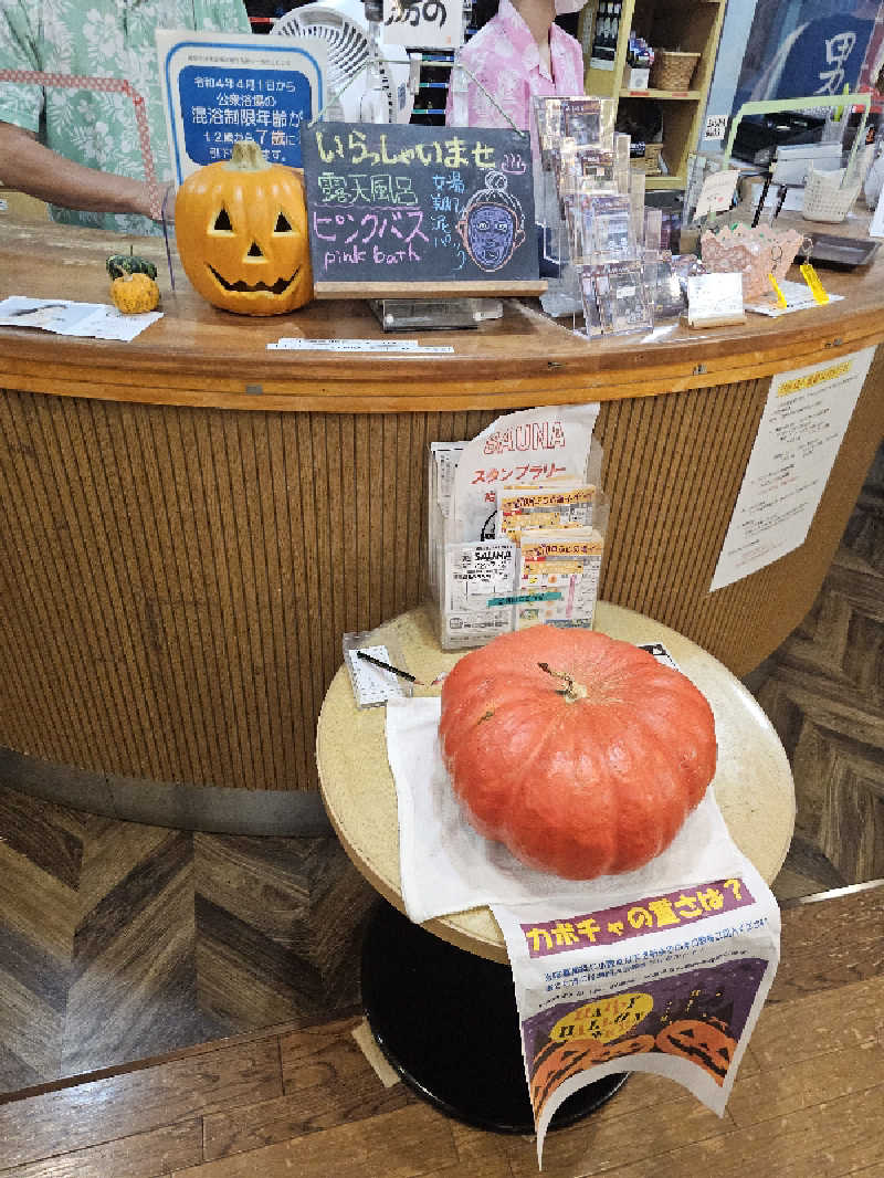 ハニコさんのアクアリゾート 岐阜ふじの湯のサ活写真
