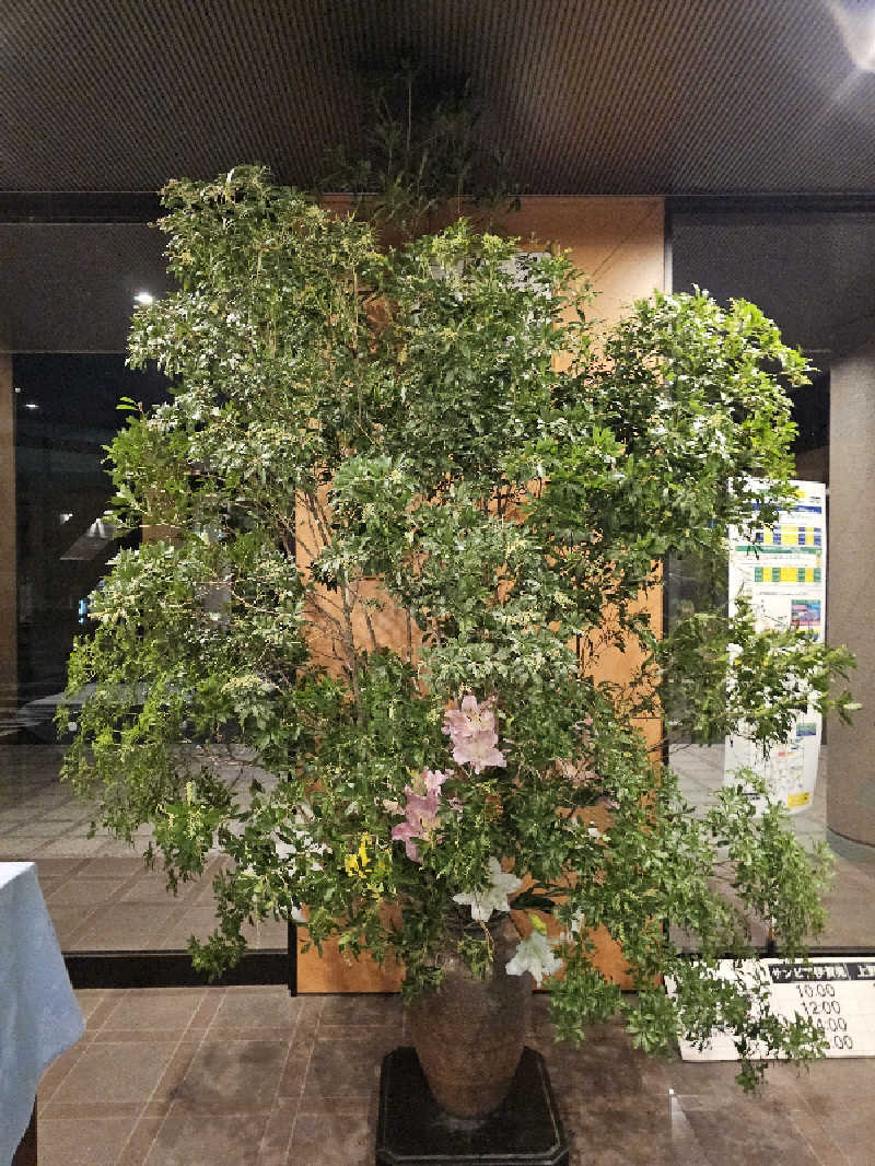ハニコさんのヒルホテル サンピア伊賀 天然温泉 芭蕉の湯のサ活写真